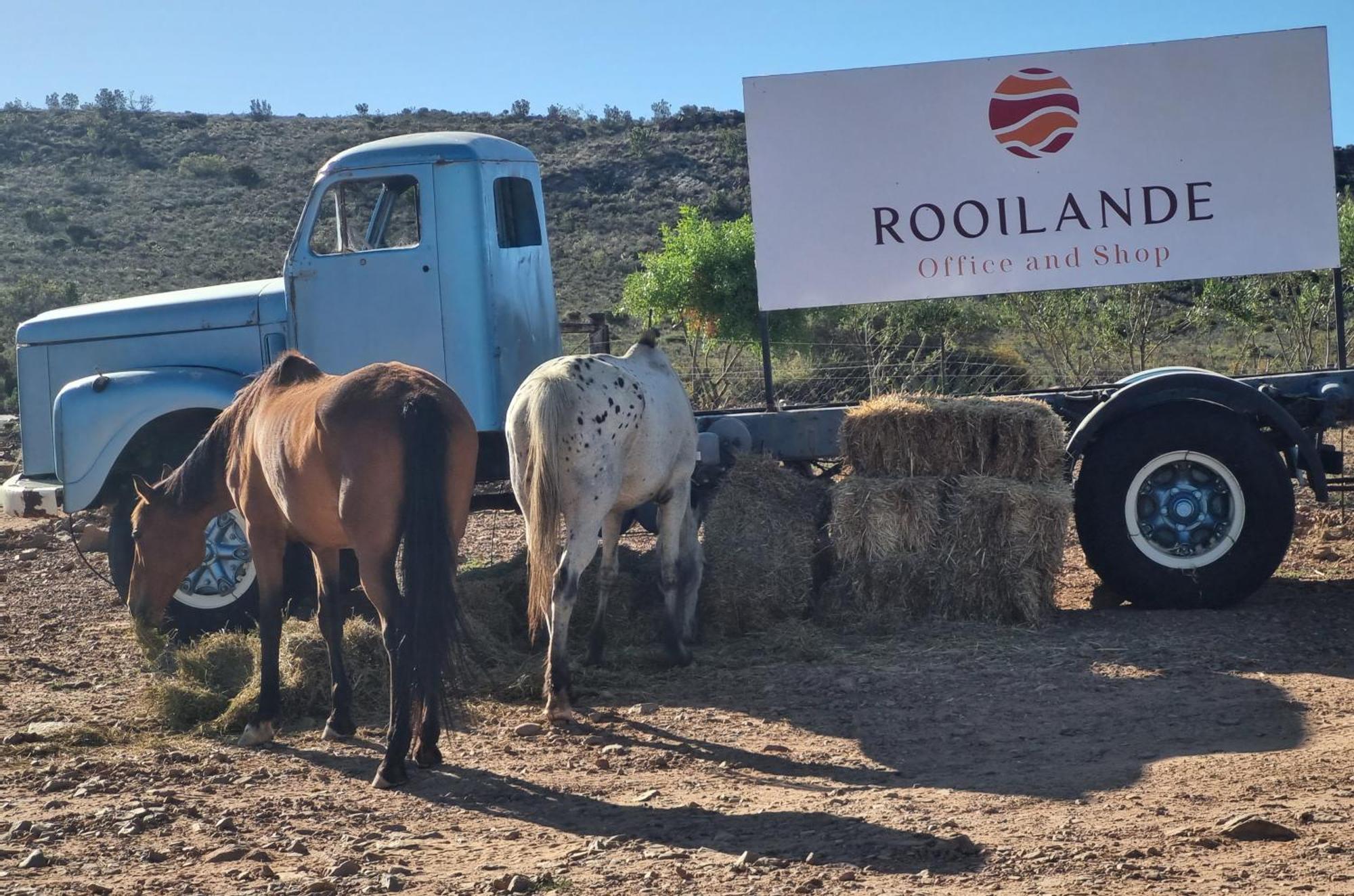 Rooilande Guest Farm Apartamento Laingsburg Exterior foto