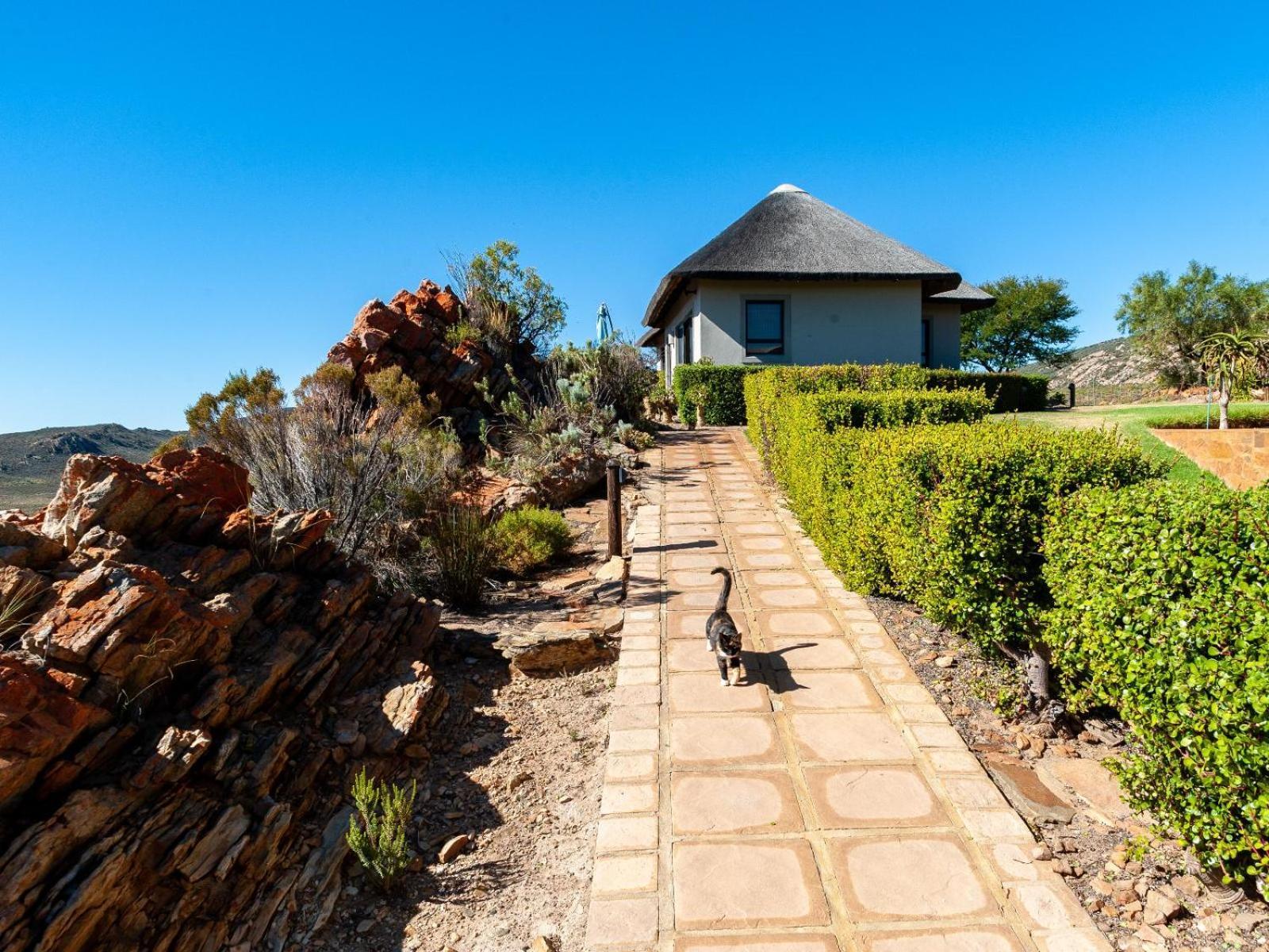 Rooilande Guest Farm Apartamento Laingsburg Exterior foto